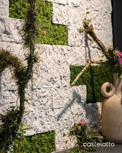 Moss