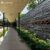 Shou Sugi Ban